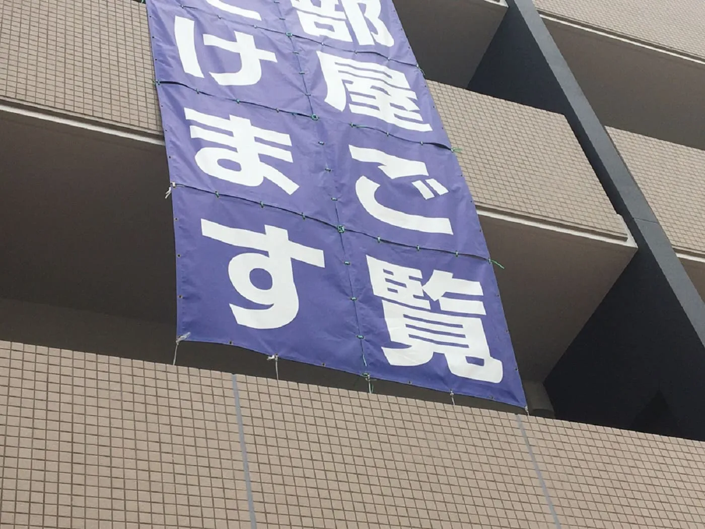 不動産広告での活用